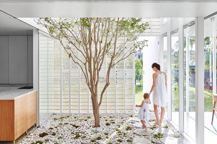 Biophilic Design at Home: How to Bring Nature Inside