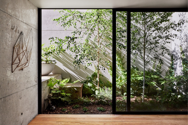 Biophilic Design at Home: How to Bring Nature Inside