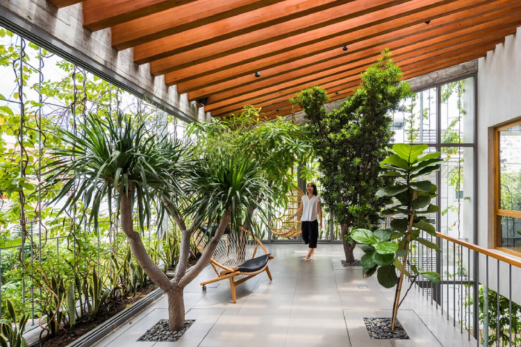 Biophilic Design at Home: How to Bring Nature Inside